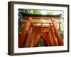 Fushimi Inari Shrine-null-Framed Photographic Print