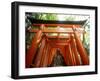 Fushimi Inari Shrine-null-Framed Photographic Print