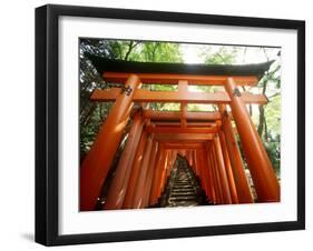 Fushimi Inari Shrine-null-Framed Photographic Print