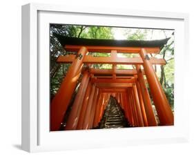 Fushimi Inari Shrine-null-Framed Photographic Print