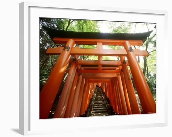 Fushimi Inari Shrine-null-Framed Photographic Print