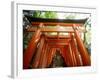 Fushimi Inari Shrine-null-Framed Photographic Print