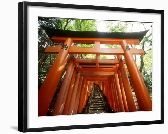 Fushimi Inari Shrine-null-Framed Photographic Print