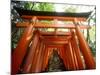 Fushimi Inari Shrine-null-Mounted Photographic Print