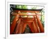 Fushimi Inari Shrine-null-Framed Photographic Print