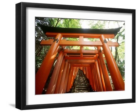 Premium Photographic Print, , large