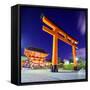 Fushimi Inari Taisha Shrine in Kyoto, Japan.-SeanPavonePhoto-Framed Stretched Canvas