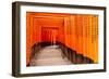 Fushimi Inari Taisha Shrine in Kyoto, Japan-pigprox-Framed Photographic Print