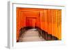 Fushimi Inari Taisha Shrine in Kyoto, Japan-pigprox-Framed Photographic Print