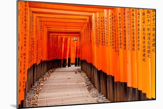 Fushimi Inari Taisha Shrine in Kyoto, Japan-pigprox-Mounted Photographic Print