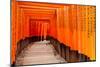 Fushimi Inari Taisha Shrine in Kyoto, Japan-pigprox-Mounted Photographic Print