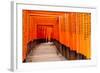 Fushimi Inari Taisha Shrine in Kyoto, Japan-pigprox-Framed Photographic Print