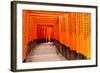 Fushimi Inari Taisha Shrine in Kyoto, Japan-pigprox-Framed Photographic Print