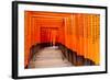 Fushimi Inari Taisha Shrine in Kyoto, Japan-pigprox-Framed Photographic Print