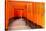 Fushimi Inari Taisha Shrine in Kyoto, Japan-pigprox-Stretched Canvas