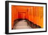 Fushimi Inari Taisha Shrine in Kyoto, Japan-pigprox-Framed Photographic Print