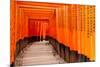 Fushimi Inari Taisha Shrine in Kyoto, Japan-pigprox-Mounted Photographic Print