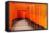 Fushimi Inari Taisha Shrine in Kyoto, Japan-pigprox-Framed Stretched Canvas