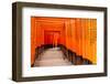 Fushimi Inari Taisha Shrine in Kyoto, Japan-pigprox-Framed Photographic Print