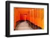 Fushimi Inari Taisha Shrine in Kyoto, Japan-pigprox-Framed Photographic Print