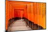 Fushimi Inari Taisha Shrine in Kyoto, Japan-pigprox-Mounted Photographic Print