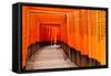 Fushimi Inari Taisha Shrine in Kyoto, Japan-pigprox-Framed Stretched Canvas