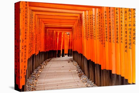 Fushimi Inari Taisha Shrine in Kyoto, Japan-pigprox-Stretched Canvas