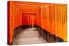 Fushimi Inari Taisha Shrine in Kyoto, Japan-pigprox-Stretched Canvas