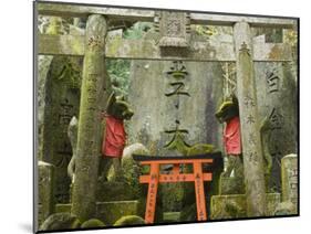 Fushimi Inari-Taisha Shrine, Kyoto, Kansai, Honshu, Japan-Schlenker Jochen-Mounted Photographic Print
