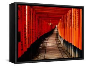 Fushimi-Inari Taisha "Torii Tunnels," Japan-Frank Carter-Framed Stretched Canvas