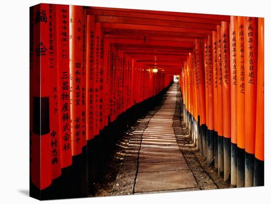 Fushimi-Inari Taisha "Torii Tunnels," Japan-Frank Carter-Stretched Canvas