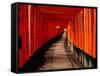 Fushimi-Inari Taisha "Torii Tunnels," Japan-Frank Carter-Framed Stretched Canvas