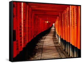 Fushimi-Inari Taisha "Torii Tunnels," Japan-Frank Carter-Framed Stretched Canvas