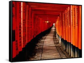 Fushimi-Inari Taisha "Torii Tunnels," Japan-Frank Carter-Framed Stretched Canvas