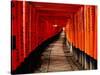 Fushimi-Inari Taisha "Torii Tunnels," Japan-Frank Carter-Stretched Canvas