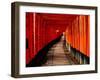 Fushimi-Inari Taisha "Torii Tunnels," Japan-Frank Carter-Framed Photographic Print