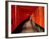 Fushimi-Inari Taisha "Torii Tunnels," Japan-Frank Carter-Framed Photographic Print