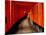 Fushimi-Inari Taisha "Torii Tunnels," Japan-Frank Carter-Mounted Photographic Print