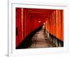 Fushimi-Inari Taisha "Torii Tunnels," Japan-Frank Carter-Framed Photographic Print