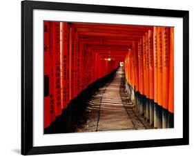 Fushimi-Inari Taisha "Torii Tunnels," Japan-Frank Carter-Framed Photographic Print