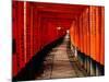 Fushimi-Inari Taisha "Torii Tunnels," Japan-Frank Carter-Mounted Photographic Print