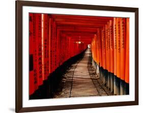 Fushimi-Inari Taisha "Torii Tunnels," Japan-Frank Carter-Framed Photographic Print