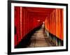 Fushimi-Inari Taisha "Torii Tunnels," Japan-Frank Carter-Framed Photographic Print