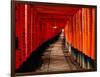 Fushimi-Inari Taisha "Torii Tunnels," Japan-Frank Carter-Framed Photographic Print