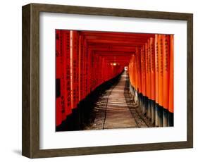 Fushimi-Inari Taisha "Torii Tunnels," Japan-Frank Carter-Framed Photographic Print