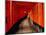 Fushimi-Inari Taisha "Torii Tunnels," Japan-Frank Carter-Mounted Photographic Print