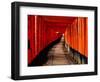 Fushimi-Inari Taisha "Torii Tunnels," Japan-Frank Carter-Framed Premium Photographic Print