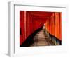 Fushimi-Inari Taisha "Torii Tunnels," Japan-Frank Carter-Framed Premium Photographic Print