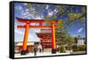 Fushimi Inari Taisha-NicholasHan-Framed Stretched Canvas