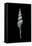 Fusinus Carpati-Paul Starosta-Framed Stretched Canvas
